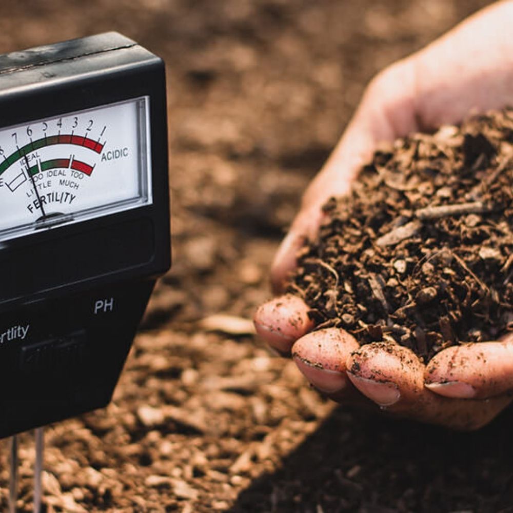 SOIL (IS 2720)